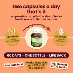 Dhop Gut Reset