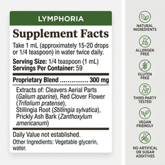 Lymphatic Wellness Drops