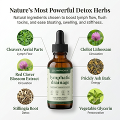 Lymphatic Wellness Drops